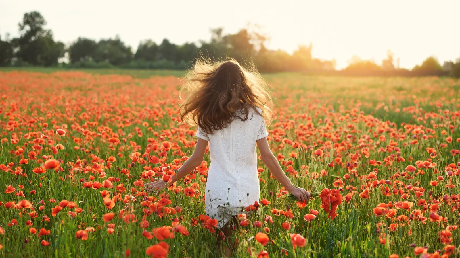 Mujer sola en un campo